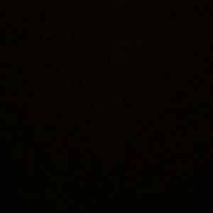 Meet your Posher, Angeliqua